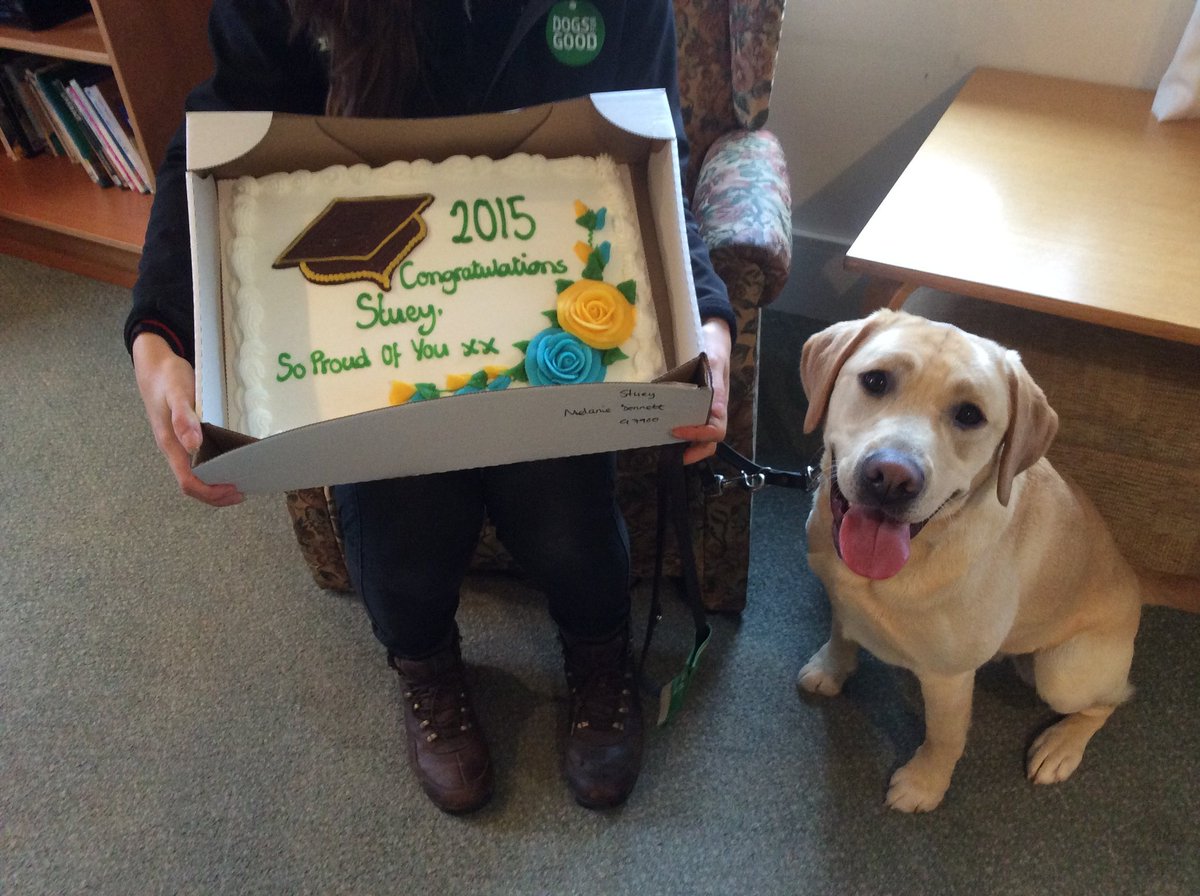 Dogs for Good tweet media