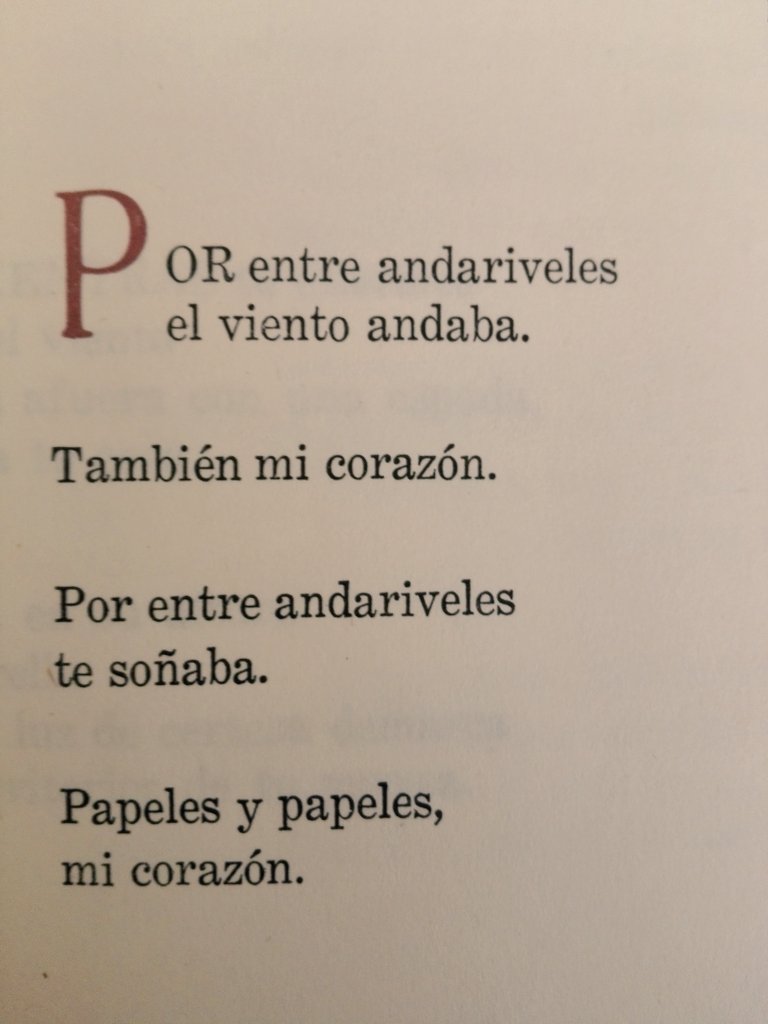 canela_cs's tweet photo. La luz de los papeles te nombraba. También mi corazón. #Cerruto #ClaroQueSí https://t.co/5XTVdae7Ko