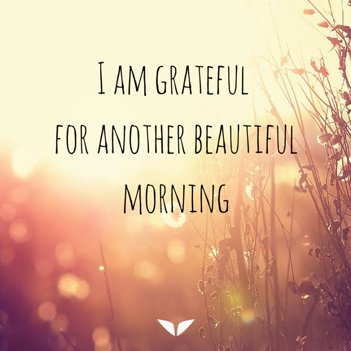 Omvana (Meditation) tweet media