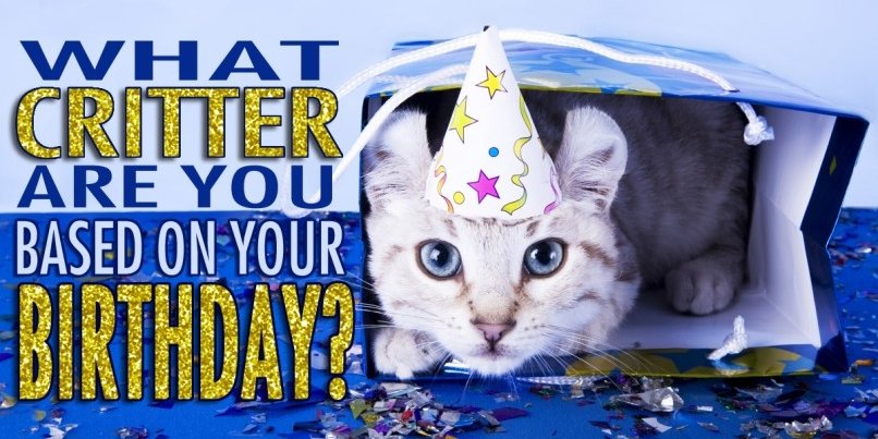 _IamAnshul's tweet image. Take This Quiz And Find Out! bit.ly/1SwTNVD