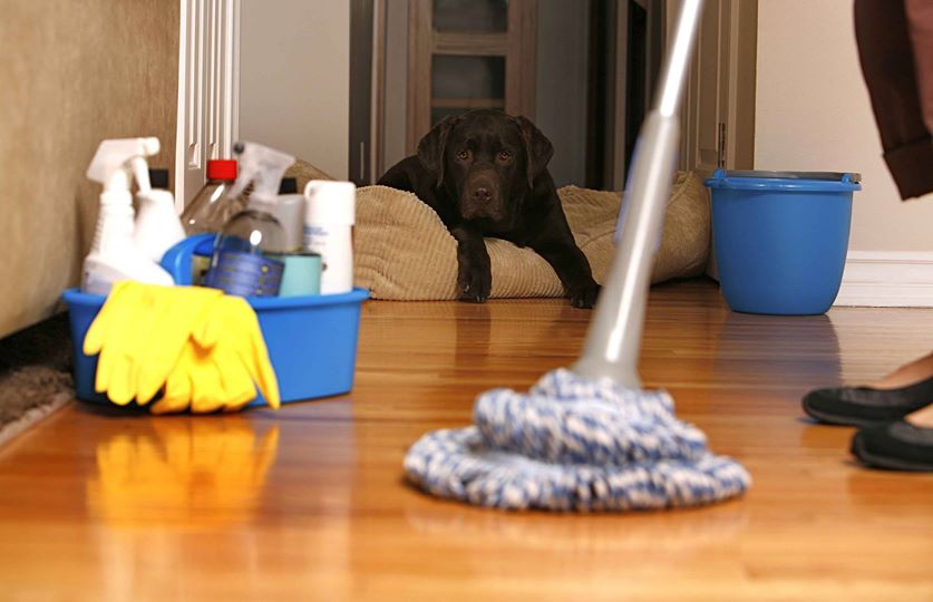 TurnKeyCleaning's tweet image. We are now hiring. turnkeyclean.com/careers  #WTHR #indy #indyjobs #jobsinindy #WISH_TV