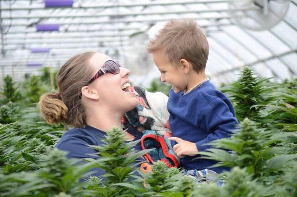 TxckzAutomated's tweet photo. "Medical Marijuana Helped Save This Child From #Cancer
https://t.co/307YhSonA4  
#marijuana #cannabis #MME #Cancer https://t.co/sFOrjCdMad