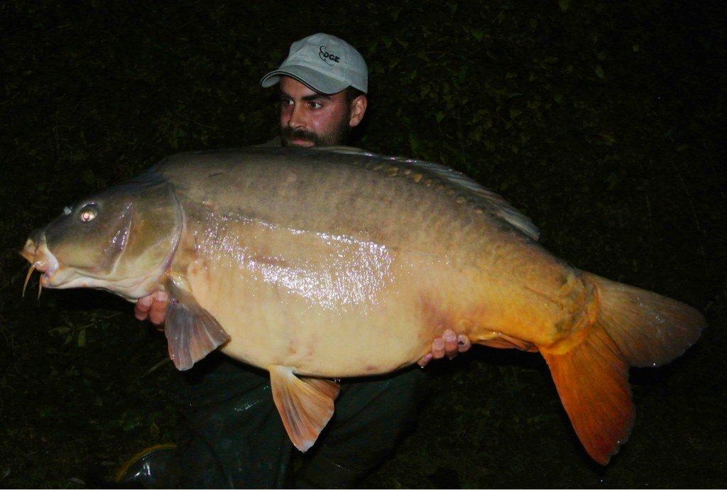 EdgeTackle's tweet photo. Edge feed activation liquid doin the business in France with this 52lb Hookbaits soaked in the good stuff =edge https://t.co/hvT1eN1xzM