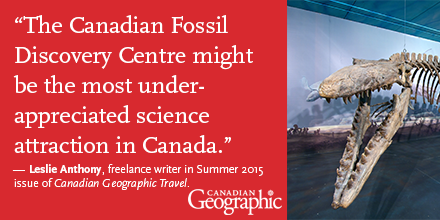 Aaron Kylie tweet media