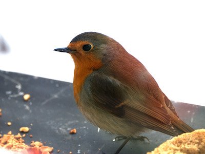 Charles Raspin tweet media