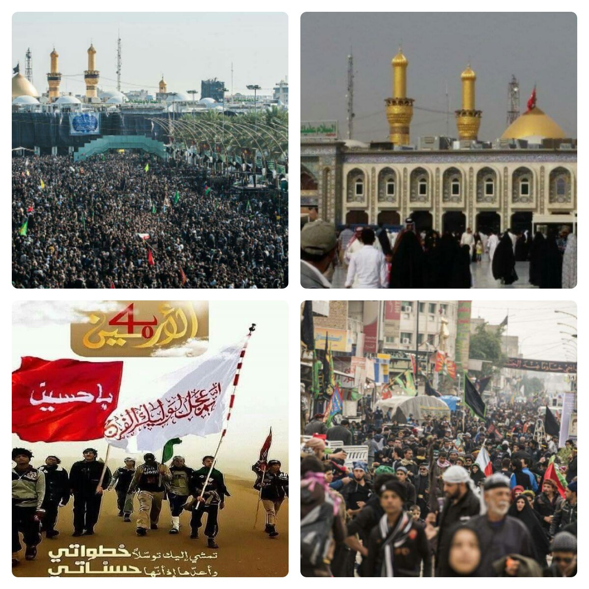 الف خيعونه من زارك وشــاهد
مواكب حزن يوم الطف وشاهد
منايـــــر كبّتك تروي وشاهد
ملاحم يوم طف الغاضريه
<a href="/4Shia/">ريتويت4⃣شيعة</a>
<a href="/B_A_TT/">حمامة السلام🕊</a>