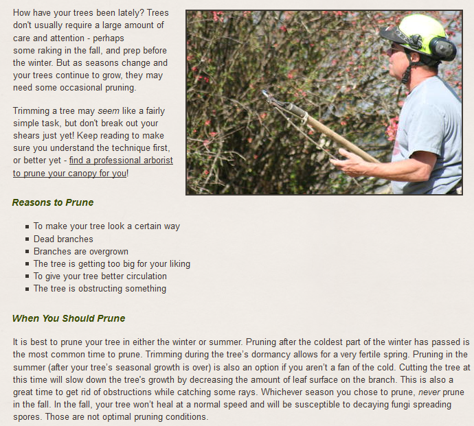 4SeasonsTree925's tweet image. #SanRamonTreeRemoval #SanRamonTreeServices #TreePruning