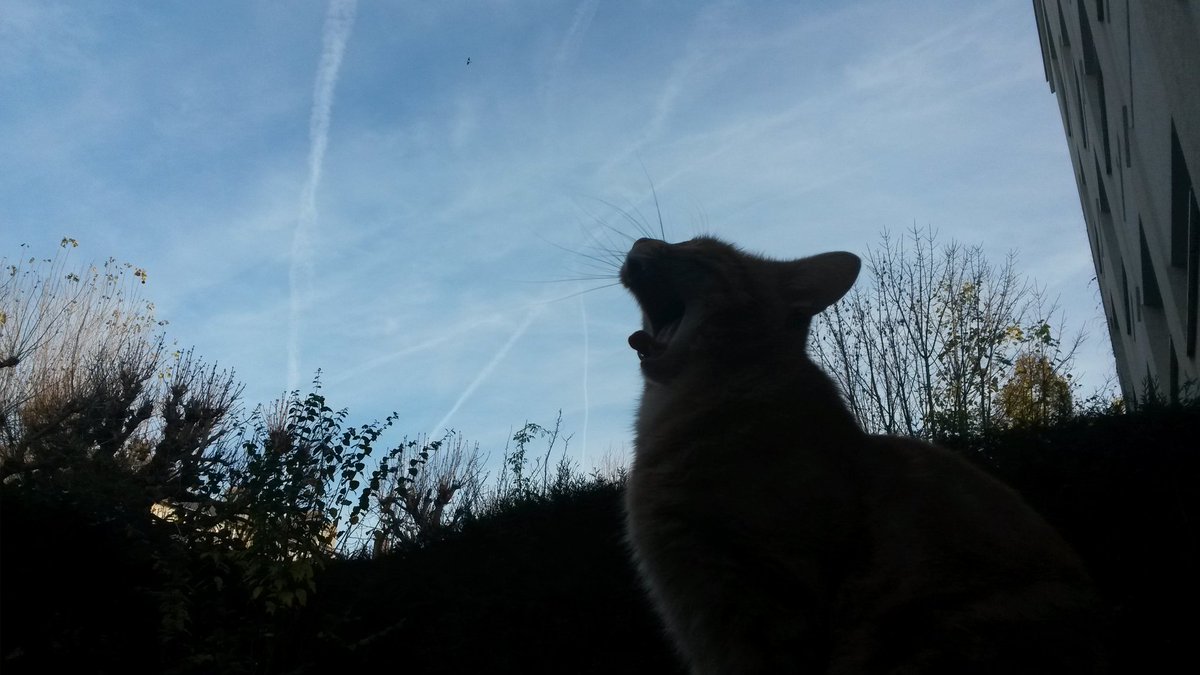 lamoulish's tweet photo. Bye bye blue sky on @MetaTVFrance #Geowing -He gros, on te regarde de haut https://t.co/SmR7XEPIHF