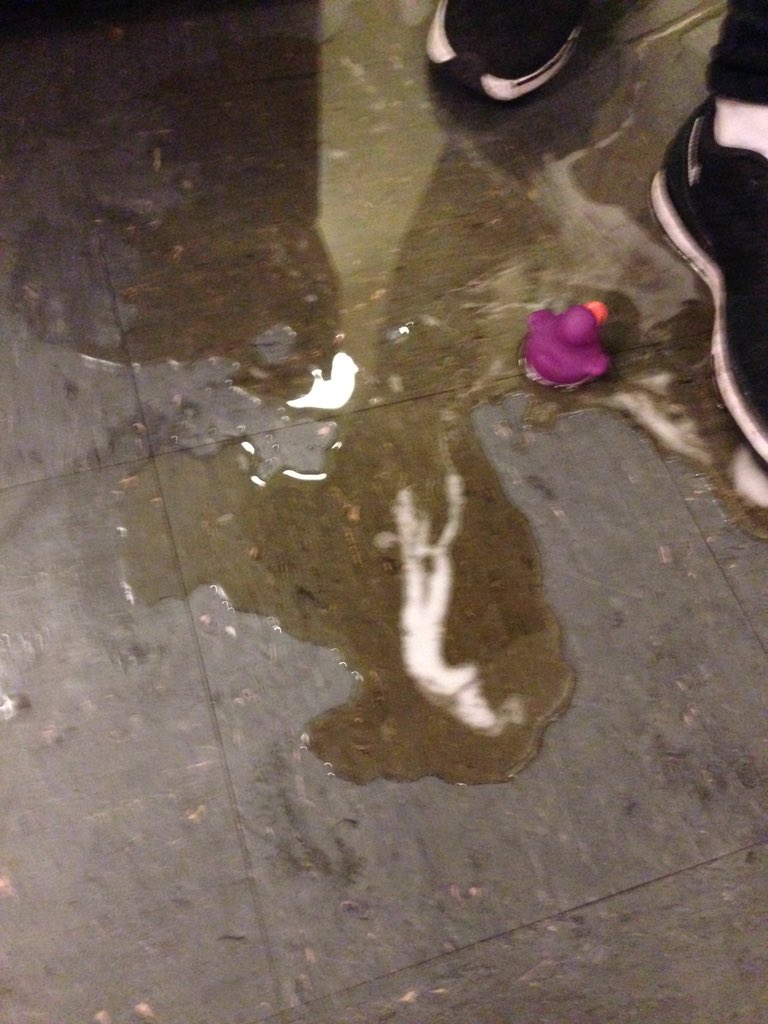 castleb_darts's tweet photo. Beardyman put a duck in the spillage... https://t.co/OnzlgjvgF3