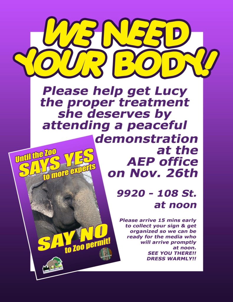 LEAPyeg's tweet photo. Please come &amp; ask the #Alberta gov't to enforce their own animal welfare regulations! #Edmonton #yeg #savelucy https://t.co/TjDbE184tA