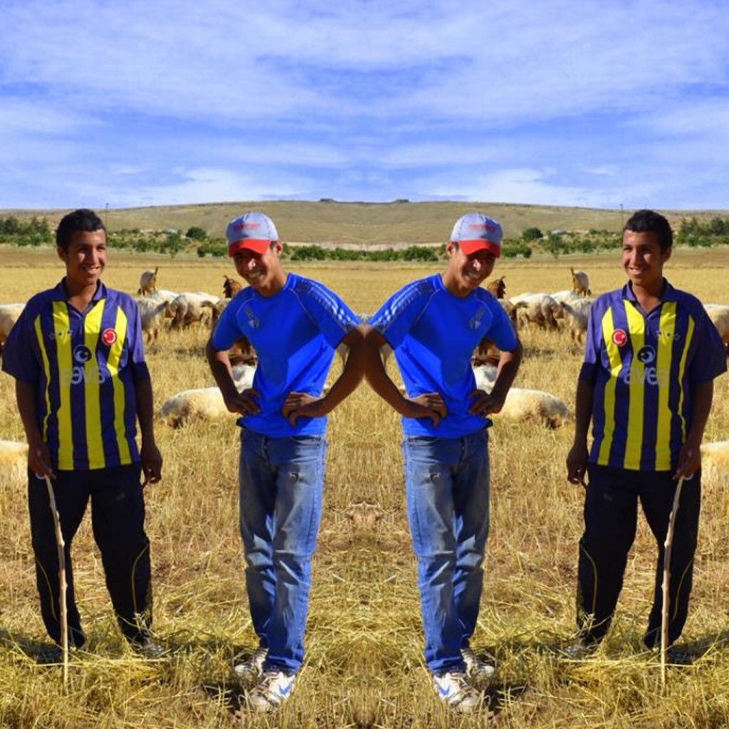 #Nature #photography