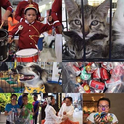 BenTortuga's tweet photo. Yesterdays event at #FeriaYoReciclo in #Panama City!

#seashepherd #SeaShepherdPanama
#recycling #environment https://t.co/0nS6Nxn3NK