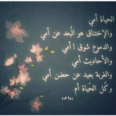 alhya_2 tweet picture