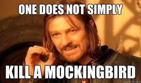 Scout_Finch_2's tweet photo. #SoTrue https://t.co/177dEc3XYc
