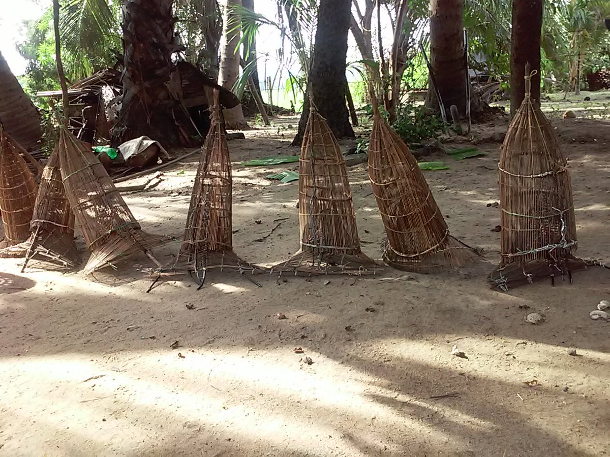 KeerthiSri11's tweet photo. Traditional Fishing gear @Ercrish @NimalJayasingh1 @AnuriH #practicalaction #fishery #governance #lagoon #biglf https://t.co/hKO41SIgLe