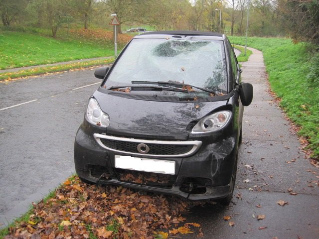 myharlow's tweet photo. Motorists using Katherines Way #Harlow beware of colliding with loose horses due to lack of action by @Essex_CC https://t.co/qW9PjOKUHL