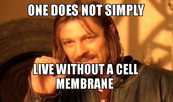 OgCelly's tweet photo. we could go without  @JSVacuole https://t.co/NyhSmpDnT9