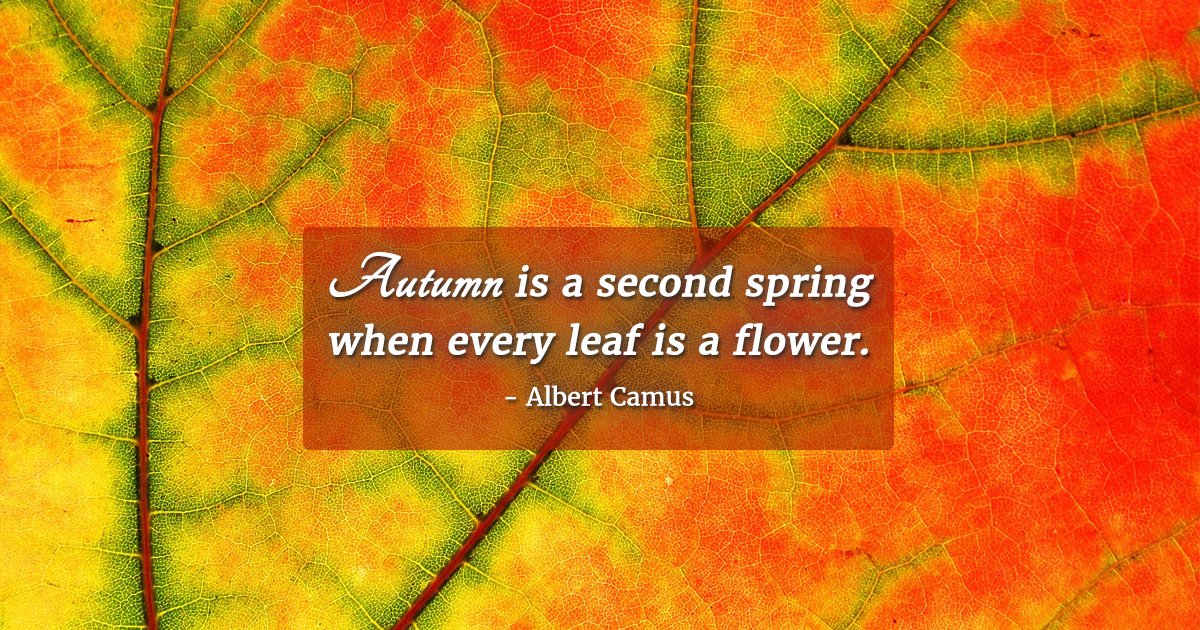 leahlee110's tweet photo. The best time of year. #quote #autumn https://t.co/jrr3yzDioT