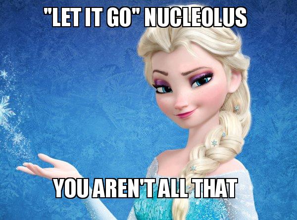 Pseudopod1's tweet photo. @nucleyolo https://t.co/DvPUndMrLq