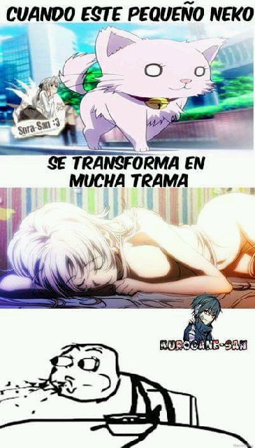 ColitaLuis's tweet photo. #lolis #nekas #Anime #Kawaii #hechhi #buendia #otaku #siguemeytesigo #Girlanime #Kawaiix3 https://t.co/7lvXKRk1Bj