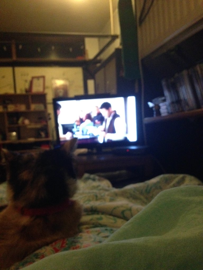 || Luna and I are enjoying a movie.