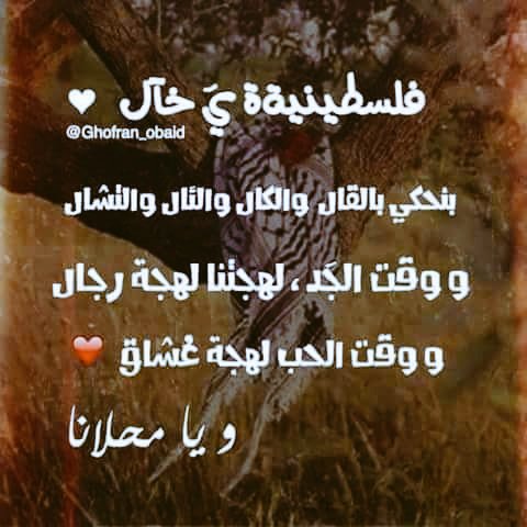 mostafaetr_77's tweet photo. https://t.co/pcc4APMZL9