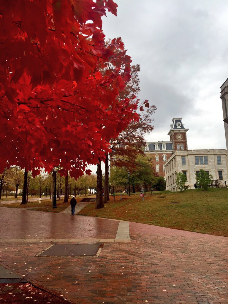 tristanpaigee's tweet photo. Fall in Fay is always perfect❤️ https://t.co/jmbEPO66YY