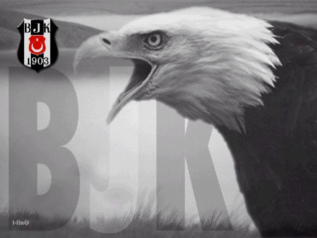 Karakartal Wallpaper bit.ly/1RGcZjK