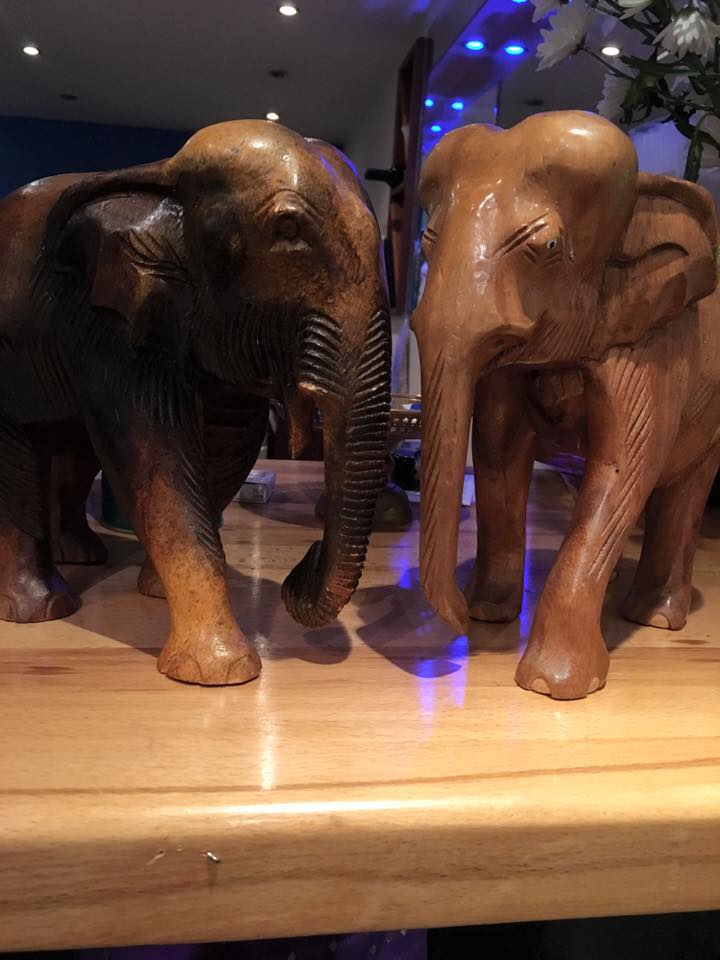 MattandCat's tweet photo. Great news! Trumpet the elephant has been found and is now back home at @ryde_thai. Here he is safe with Nelly. https://t.co/ciRtkWiizV