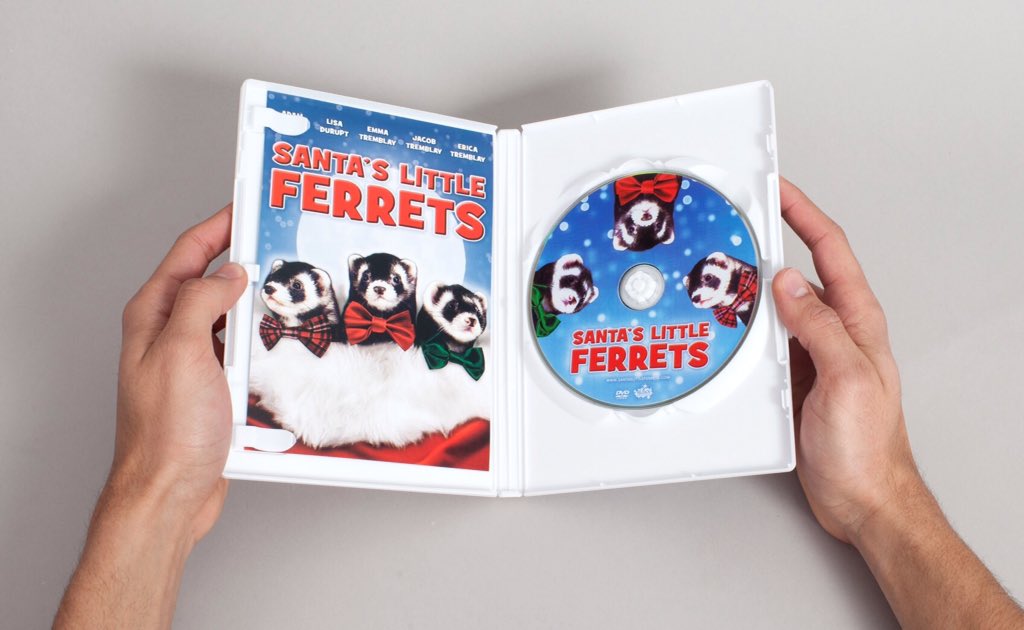 SantasFerrets's tweet photo. Surprise your loved ones with a DVD of Santa's Little Ferrets this Xmas! https://t.co/uWuj5hhvhN https://t.co/1sUvra0aV9