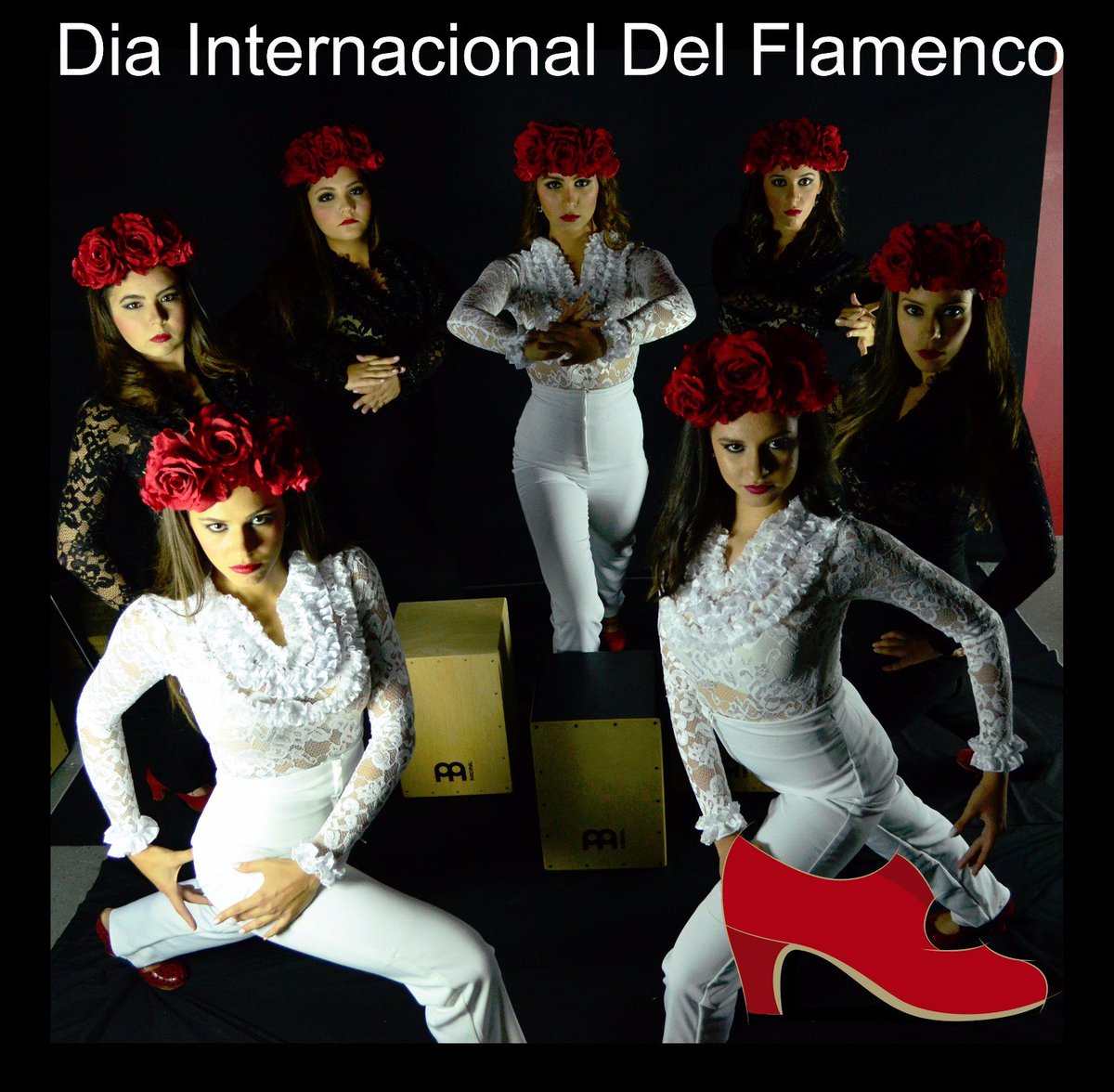 escuelaflamenca's tweet photo. 16 de noviembre día Internacional del flamenco #flamencomiami #Flamenco #flamencodoral https://t.co/my0RKmvp9G