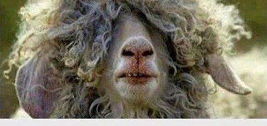 melissaglamour's tweet photo. Quand tu te lisse les cheveux mais qu'en faite il pleut 😢 : https://t.co/0s24ifxQRk