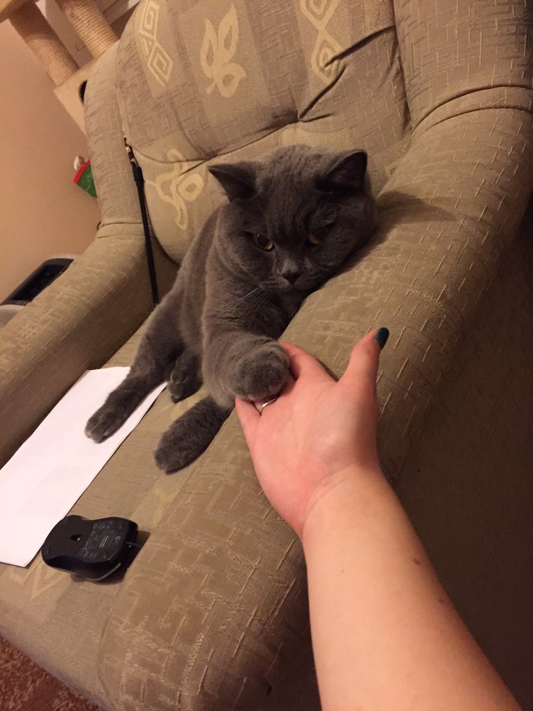 magda_siwik's tweet image. Piątka :) #PanKot