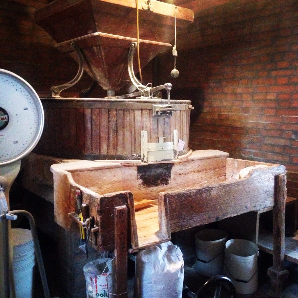 ancaranivini's tweet photo. Milling our ancient durum wheat variety Senatore Cappelli #flour #senatorecappelli #wheat #tradition #health #food https://t.co/1h7qN3VKIR