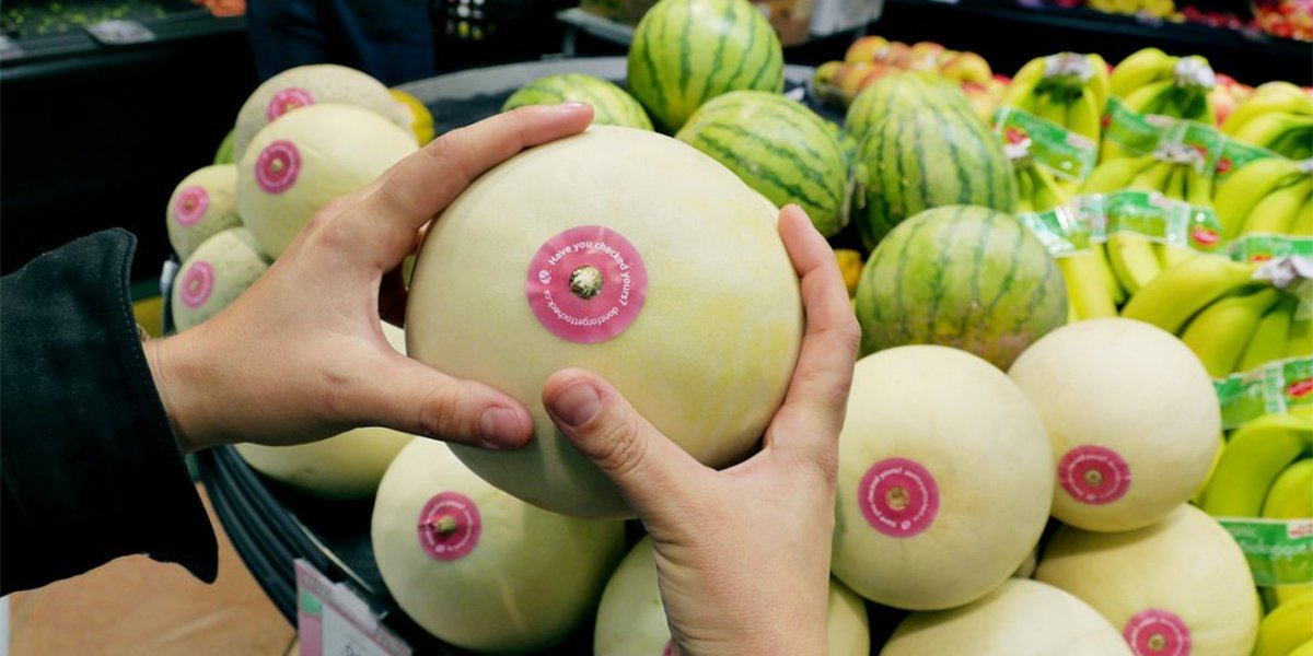 HuffPostBC's tweet image. Check your melons, says B.C. breast cancer campaign huff.to/1kAMfH2