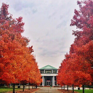 BelmontUniv's tweet photo. Took Nashville long enough but it's finally looking and feeling like fall! 🍁🍂🐿 (📷: @moberholtzer) https://t.co/g6DBLPMsob