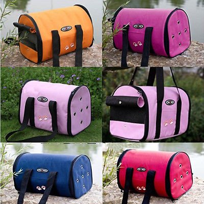 zeppy.io pets tweet media