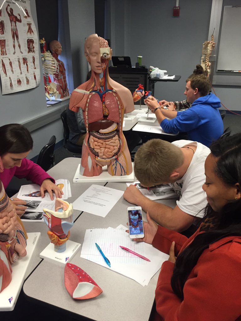 zachwinkelmann's tweet photo. Had a great time teaching cardio and respiratory system with technology and models! #lungmodel #iPads #snapchat #ISU https://t.co/dXjusDb7nr