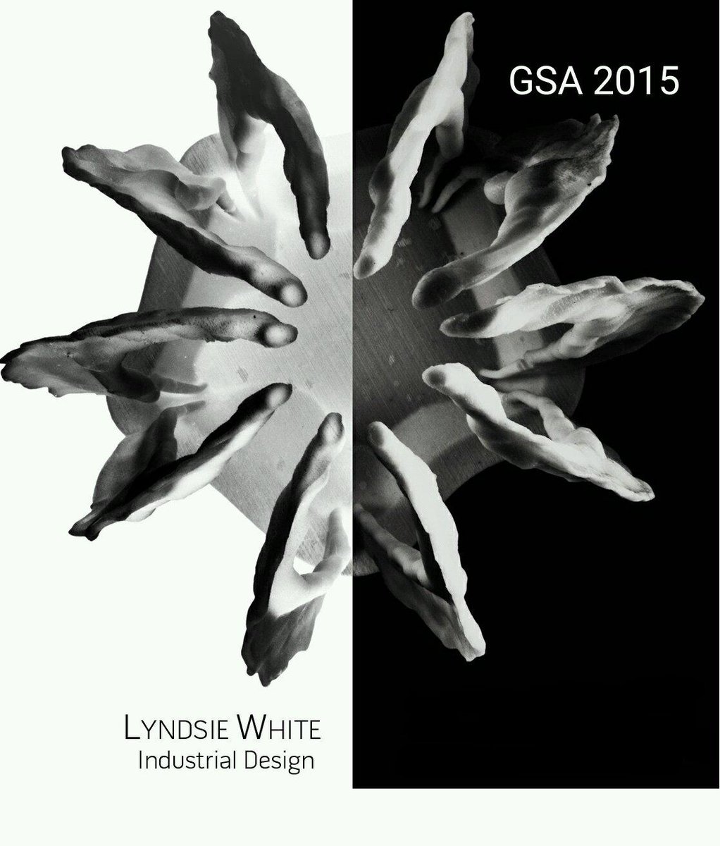 WhiteLyndsie's tweet photo. back on the web, #science #hydrodynamics , finishing up at #GSA2015 https://t.co/GDBbYvRjqQ