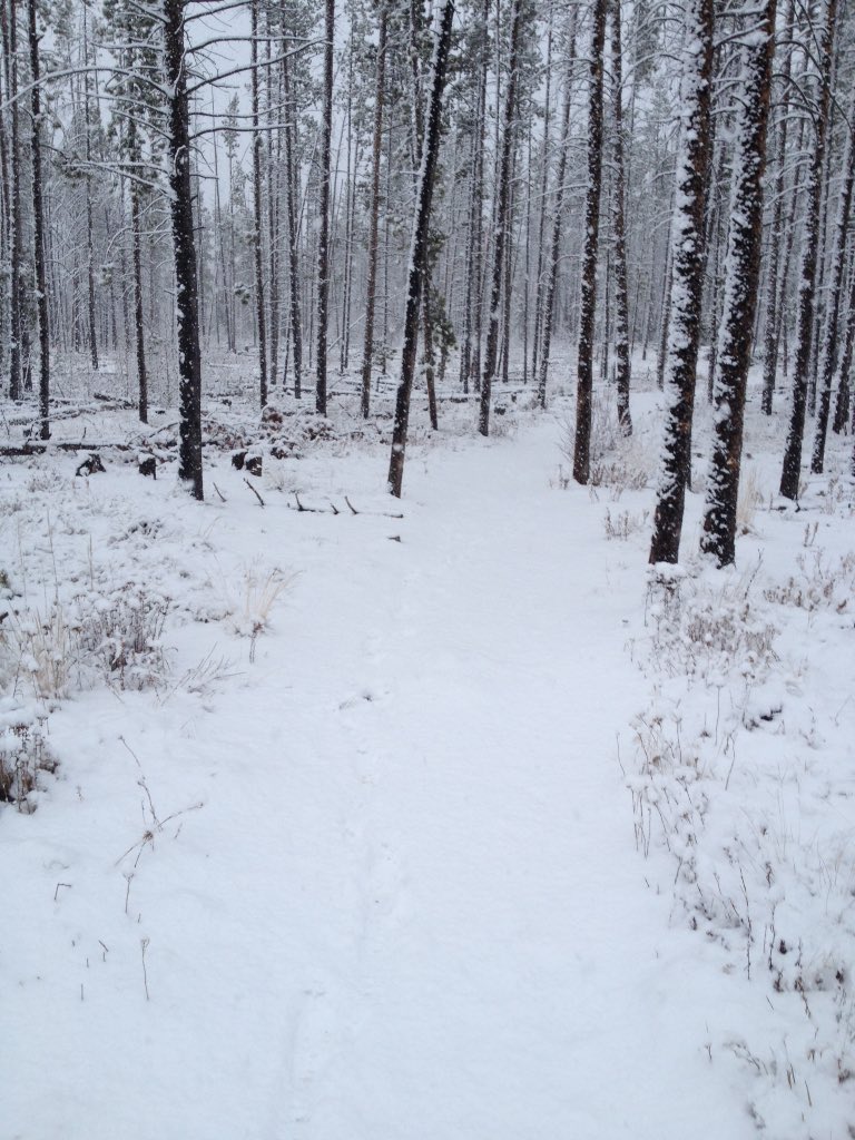 FraserColorado's tweet photo. Winter wonderland!
#FraserColorado #Stlouiscreek #winter #snow https://t.co/xKhrcmqRXP