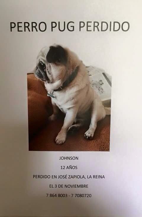 csilvass's tweet photo. RT @FranDanesi: Por favor difundir https://t.co/pqmSmftsPB 
@carolinapinoc