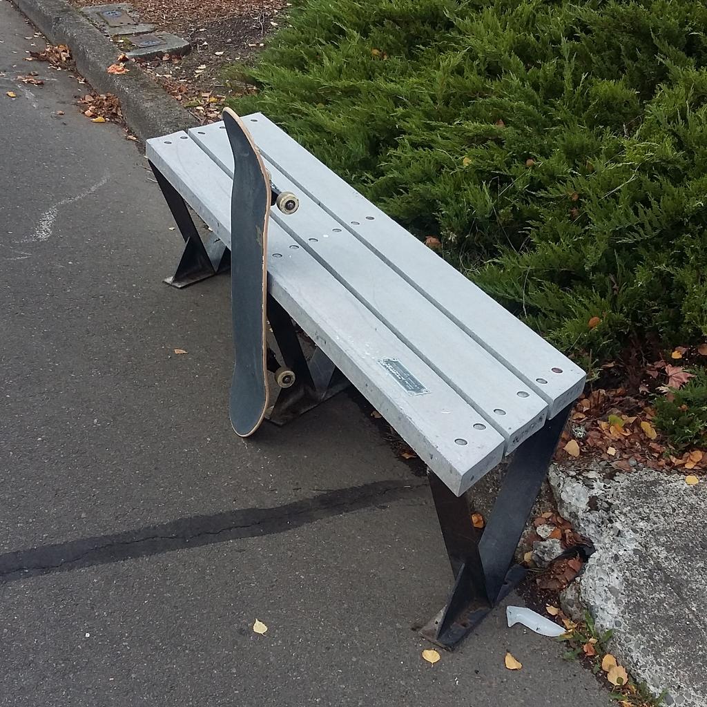 KnightOwlSkate's tweet photo. @KnightOwlSkate just got this bench fuck yeah!! https://t.co/uQFXBut19x