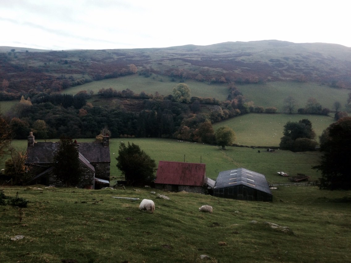 Flan_Studio's tweet photo. Welsh #vernacular https://t.co/EOqtXPg9FG