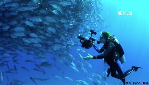 OurOcean's tweet photo. 7 fantastic ocean movies you can (and should!) see on @netflix. https://t.co/2D4hYYqrDJ via @azula https://t.co/mXZnuu6JTv