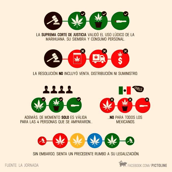 Todo sobre la resolución del uso de #marihuana #Mariguana #CannabisDebate en #México