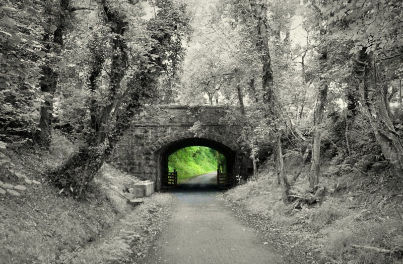 NI Greenways tweet media