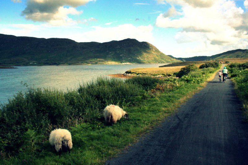 You couldn't bate it with a big stick <a href="/scullionkieran/">K Scullion</a> <a href="/mayogreenway/">greatwesterngreenway</a> <a href="/BallymenaToday/">Ballymena Today</a>