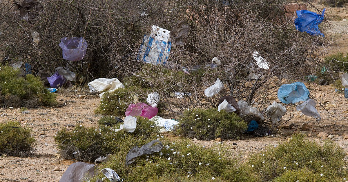 HuffPost's tweet photo. Morocco is moving to ban all plastic bags https://t.co/fgpknJrIFc https://t.co/7Y7ZRfxRuU