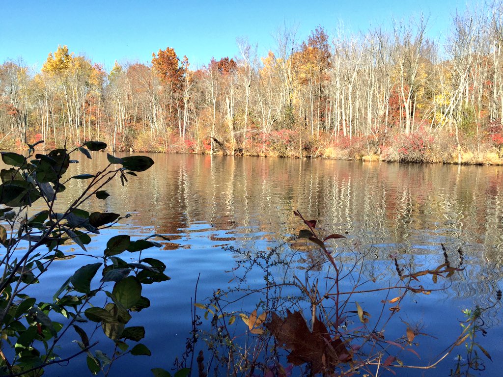 gnzaleee_'s tweet image. Today surrounded by nature #FranklinLakes #AloneTime #ThinkingSpot