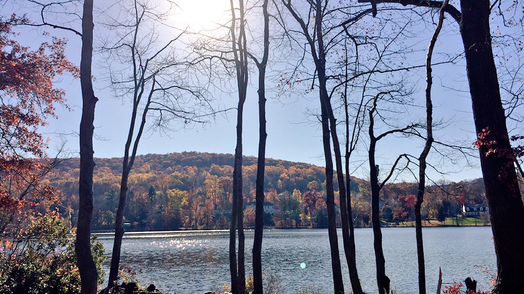 gnzaleee_'s tweet image. Today surrounded by nature #FranklinLakes #AloneTime #ThinkingSpot
